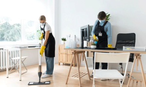 house cleaning hurstville area