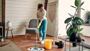 House cleaners